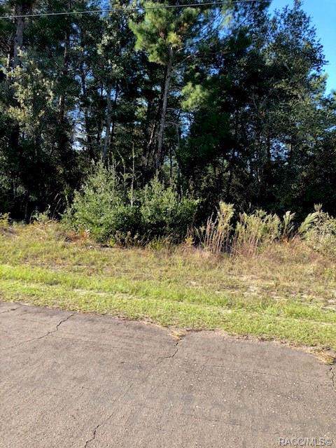 2804 Deltona Boulevard - Photo 1