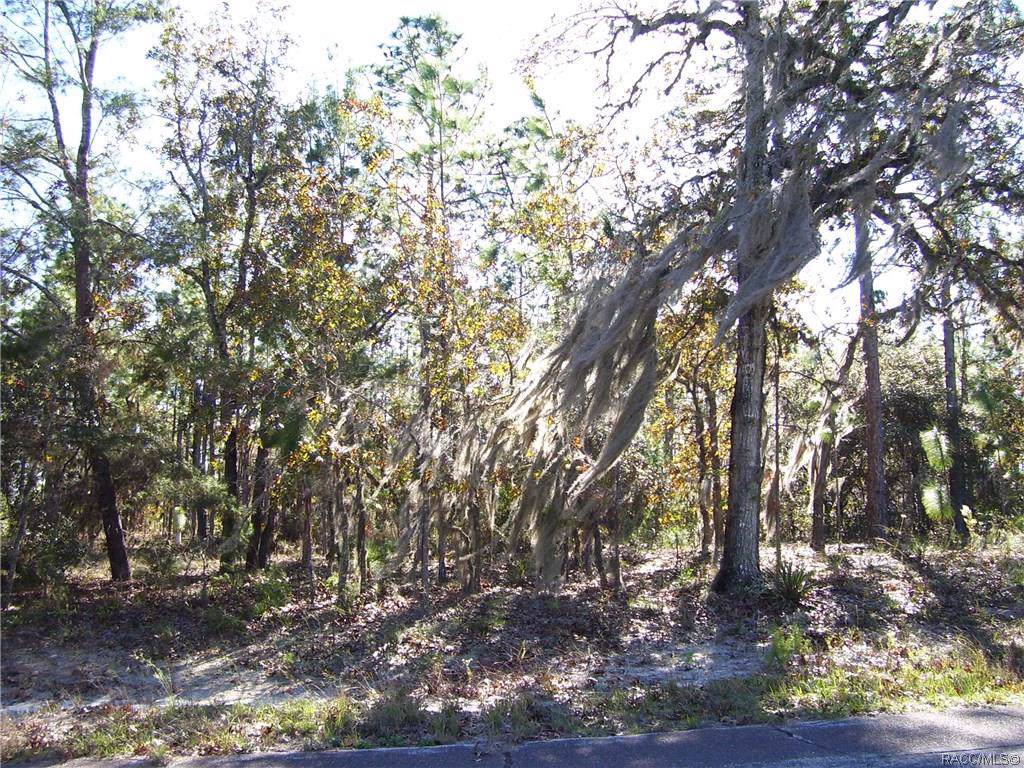 2618 Laredo Drive - Photo 1