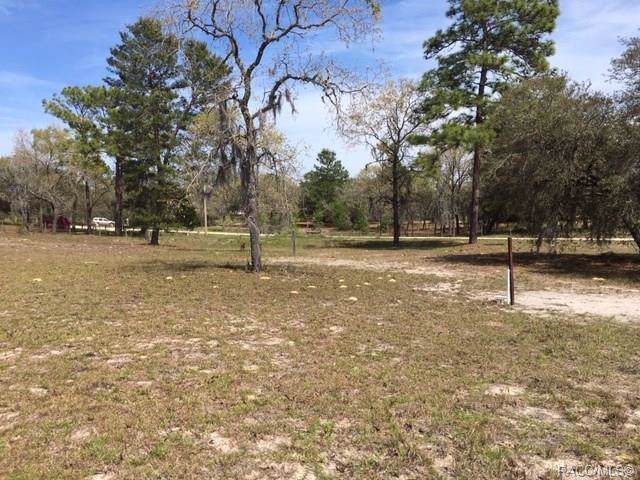 6538 Ewok Point - Photo 1