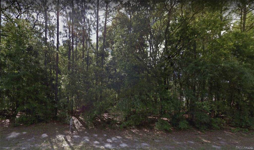 10053 Country Club Way - Photo 1