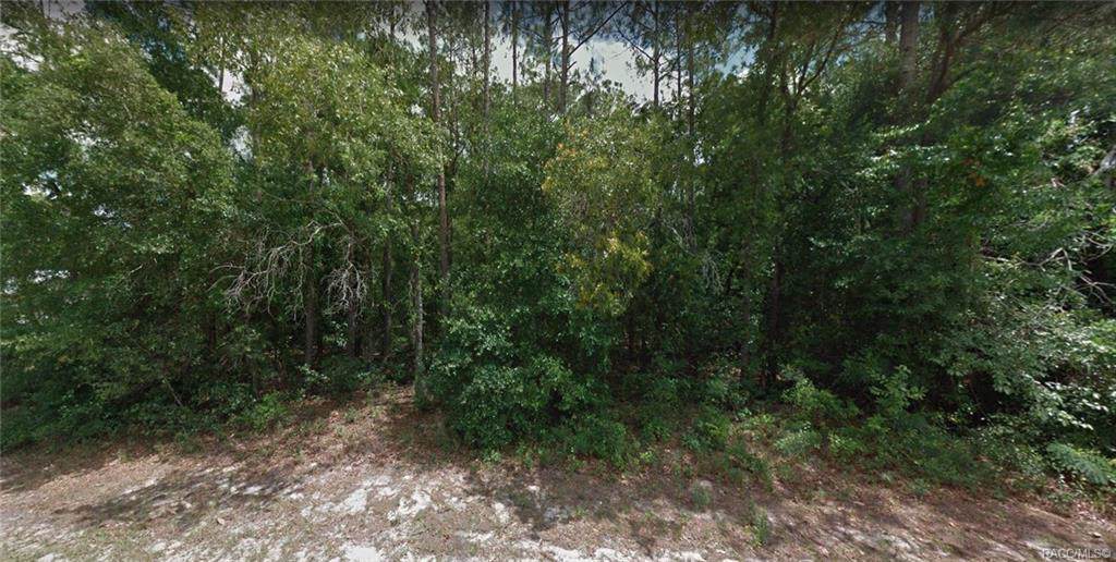 1940 Rutland Drive - Photo 1