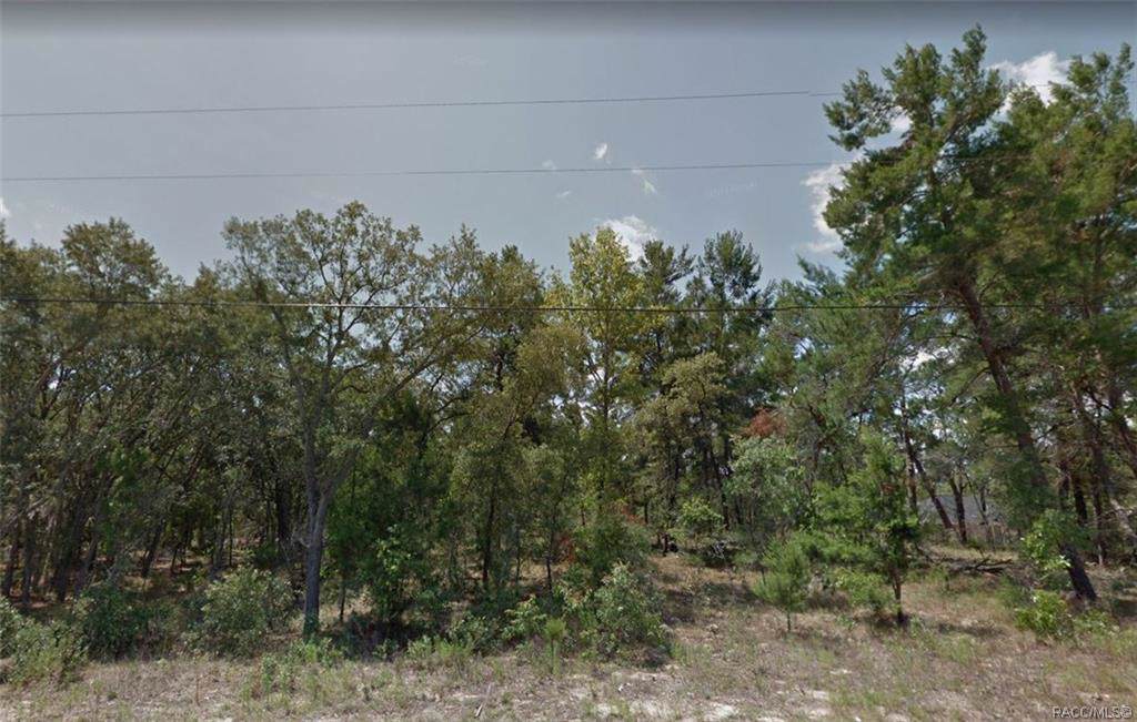 3318 Fairbank Drive - Photo 1