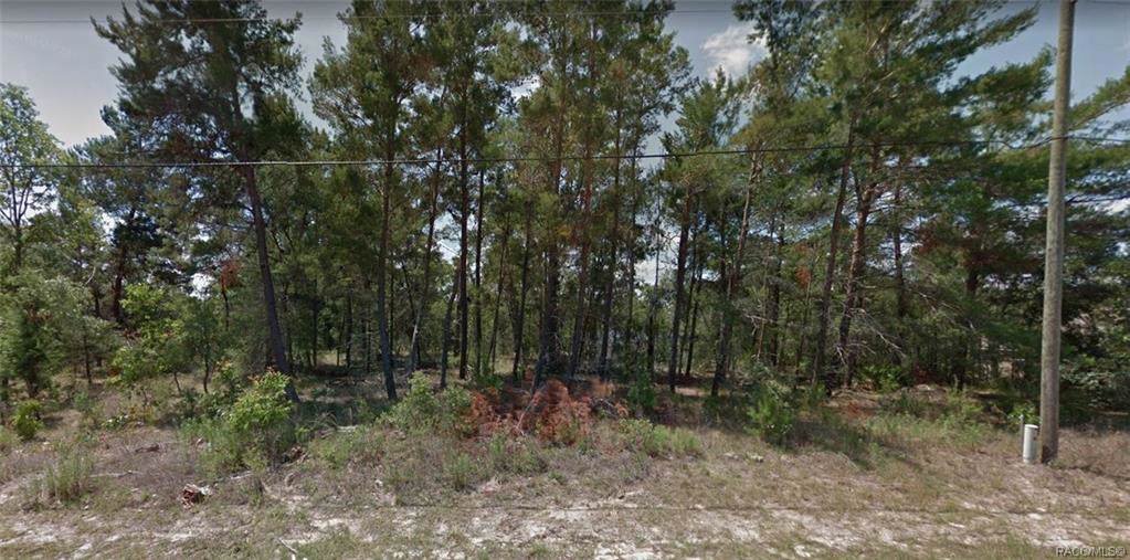 3330 Fairbank Drive - Photo 1