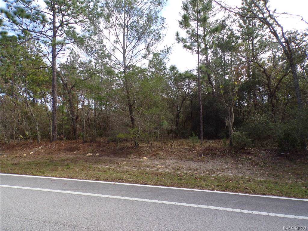 8505 Citrus Springs Boulevard - Photo 1