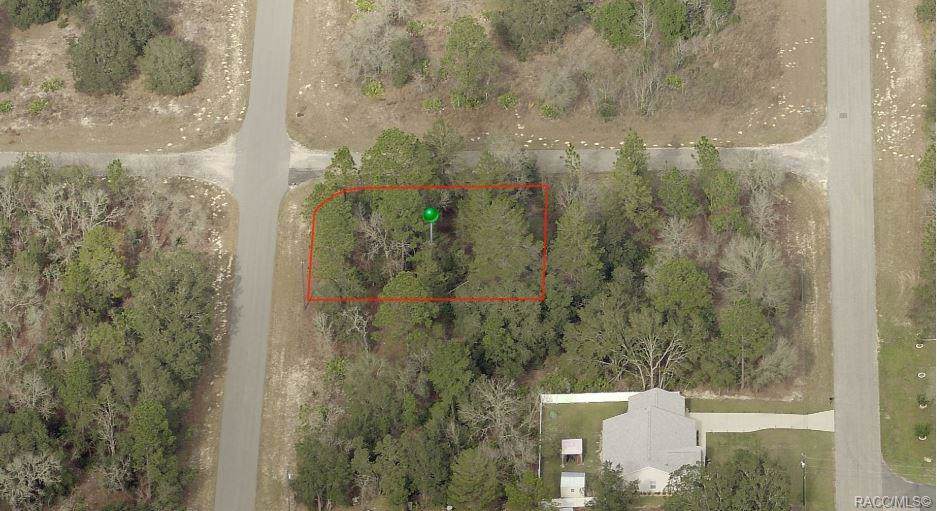 6441 Varsity Avenue - Photo 1