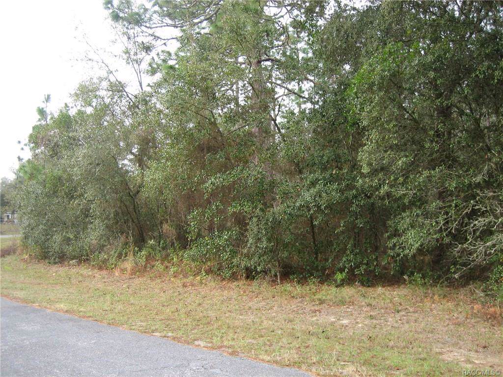 8636 Trojan Drive - Photo 1