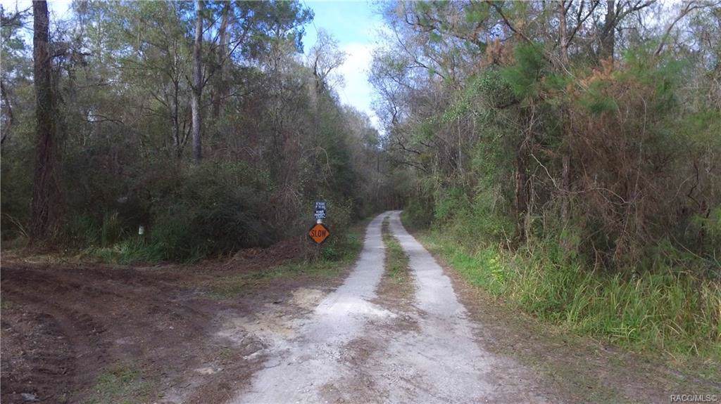 0 Wise Owl Point - Photo 1