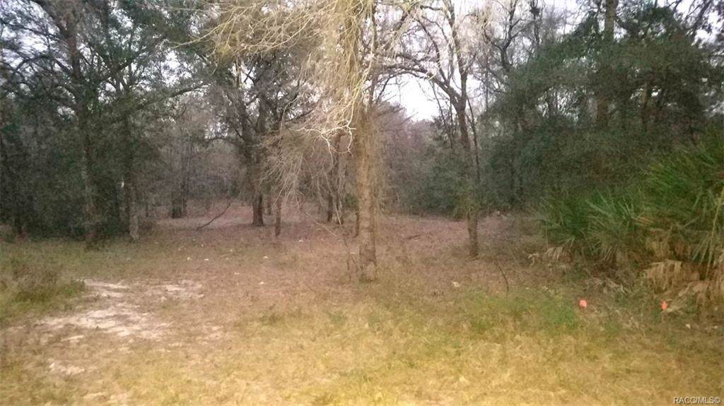 8410 Moonwind Terrace - Photo 1