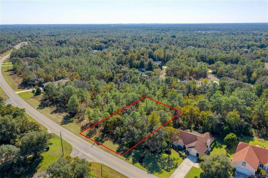 Lot 51 Cypress Boulevard - Photo 1
