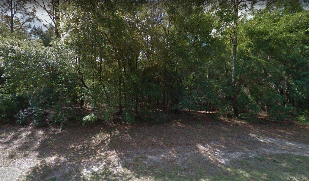 10218 Athenia Drive - Photo 1