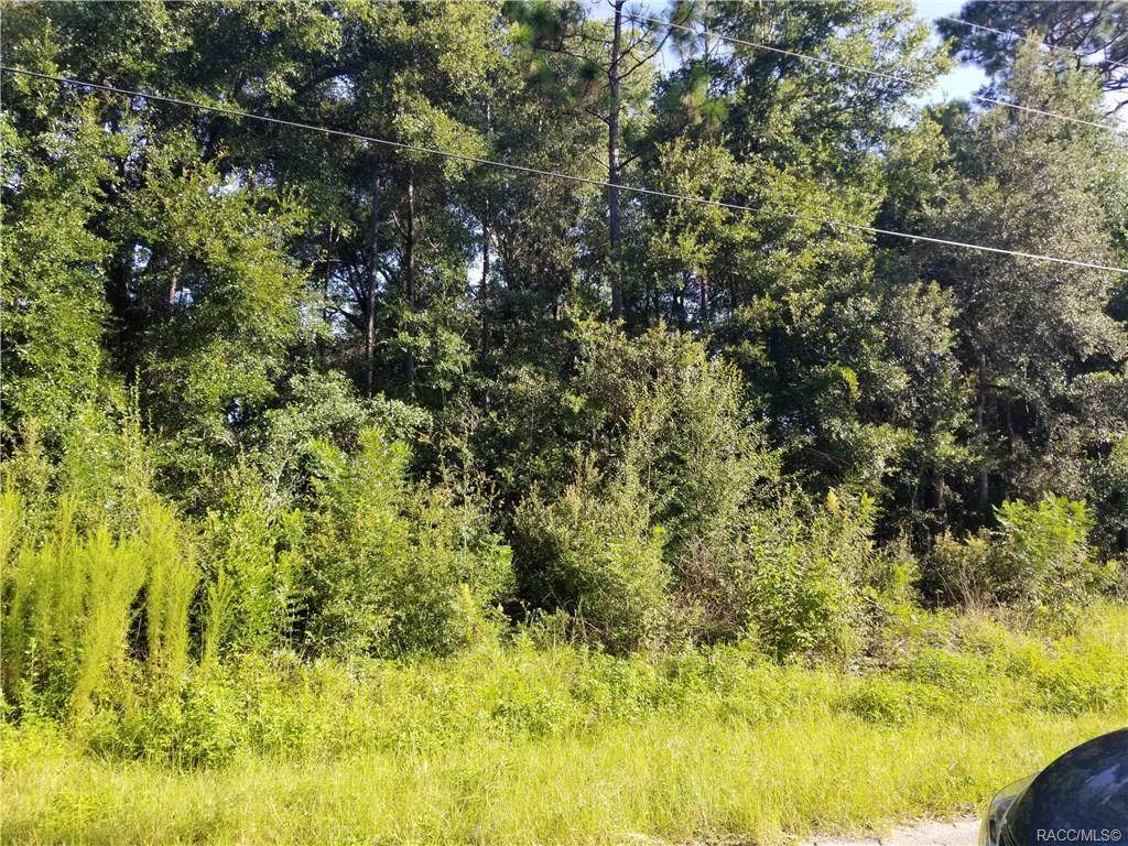 8998 Bee Way - Photo 1