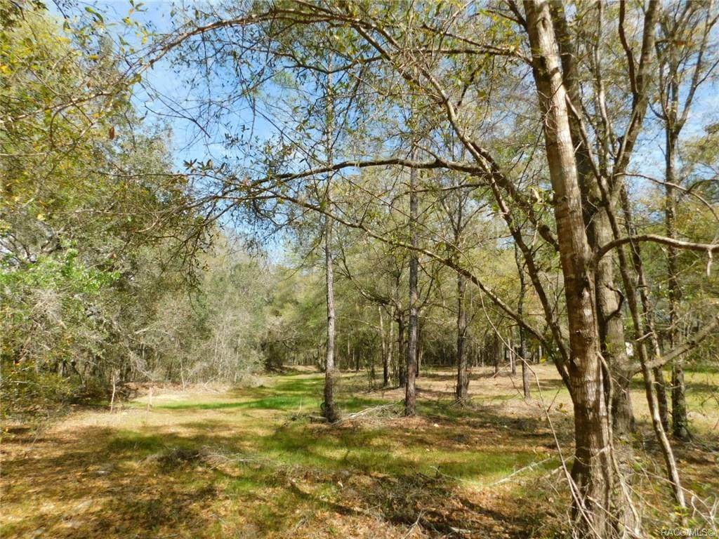 TBD Athenia Drive - Photo 1