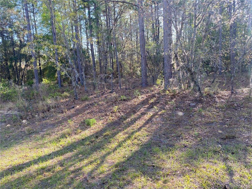 7761 Cricket Drive - Photo 1