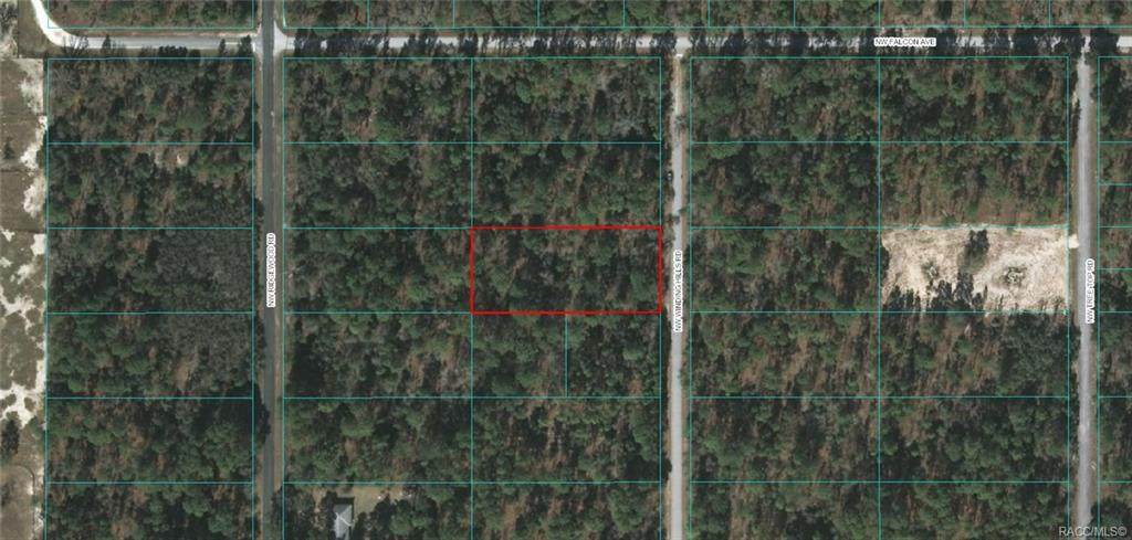 Lot 3 Winding Hills Road - Photo 1