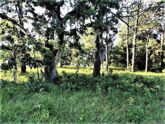 6377 Homosassa Trail - Photo 1
