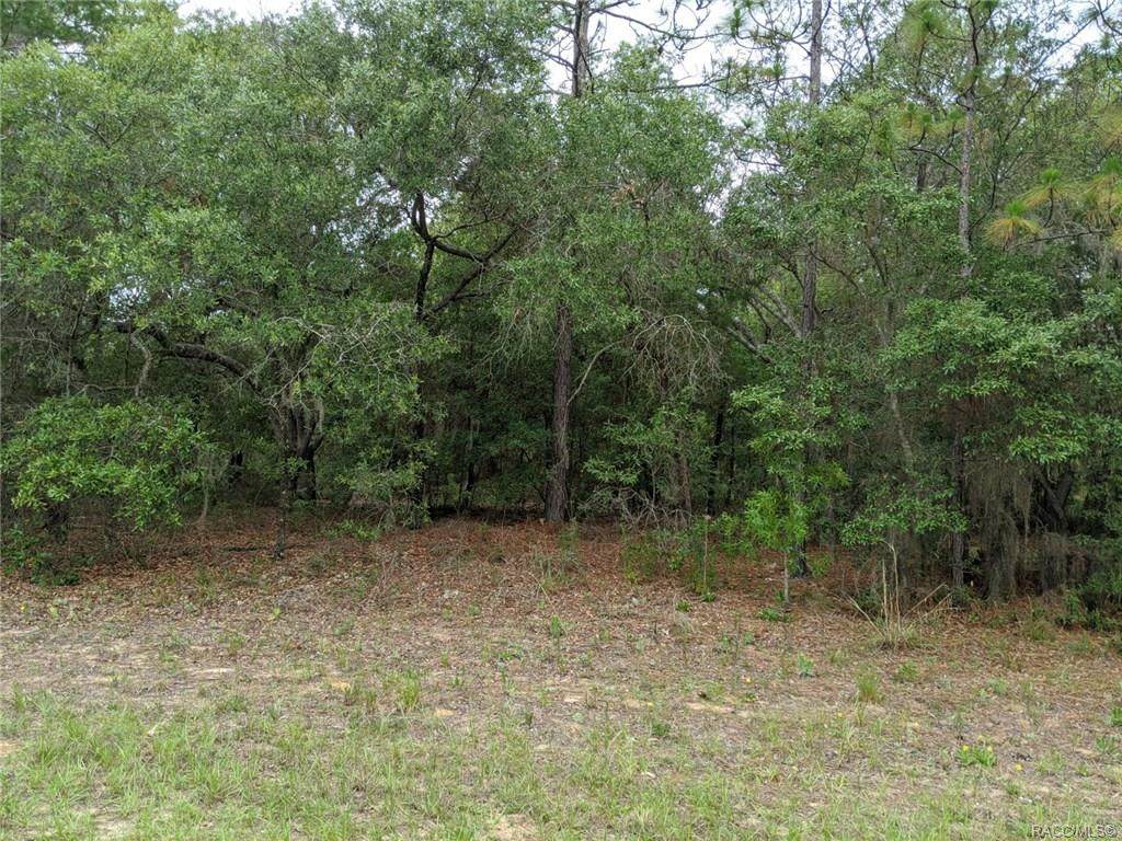 8058 Hale Road - Photo 1