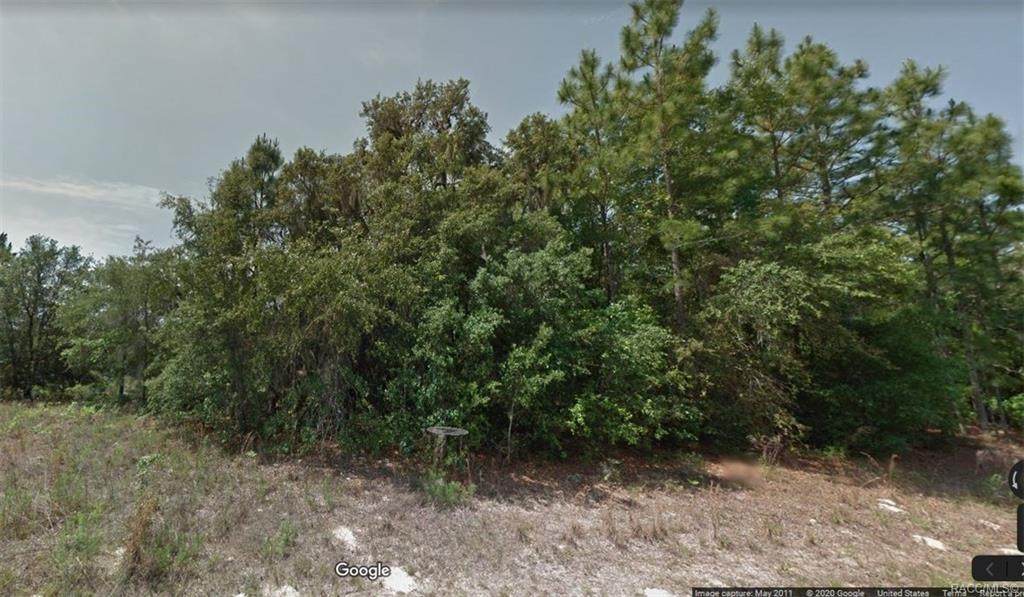 1968 Delmane Drive - Photo 1