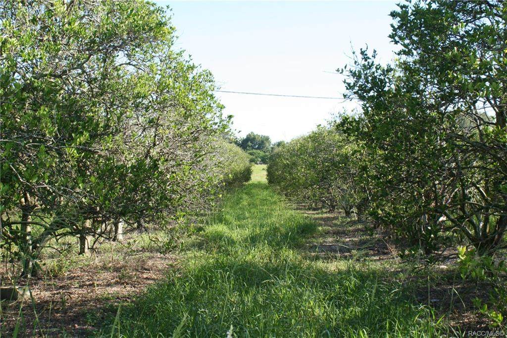 0 County Road 25 - Photo 1