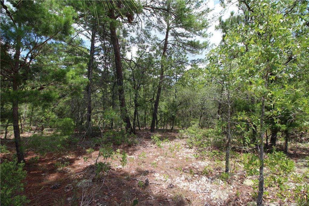 5919 Hazelwood Drive - Photo 1
