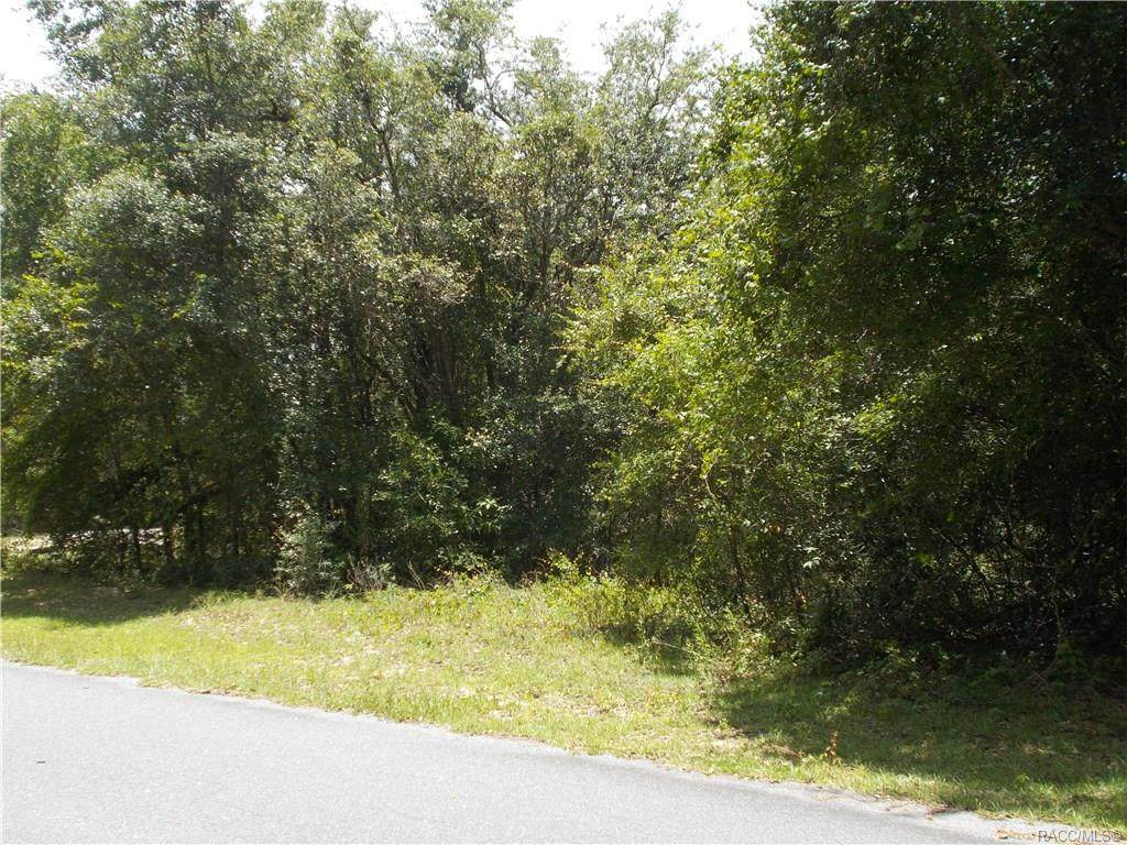 1646 Wedgewood Lane - Photo 1