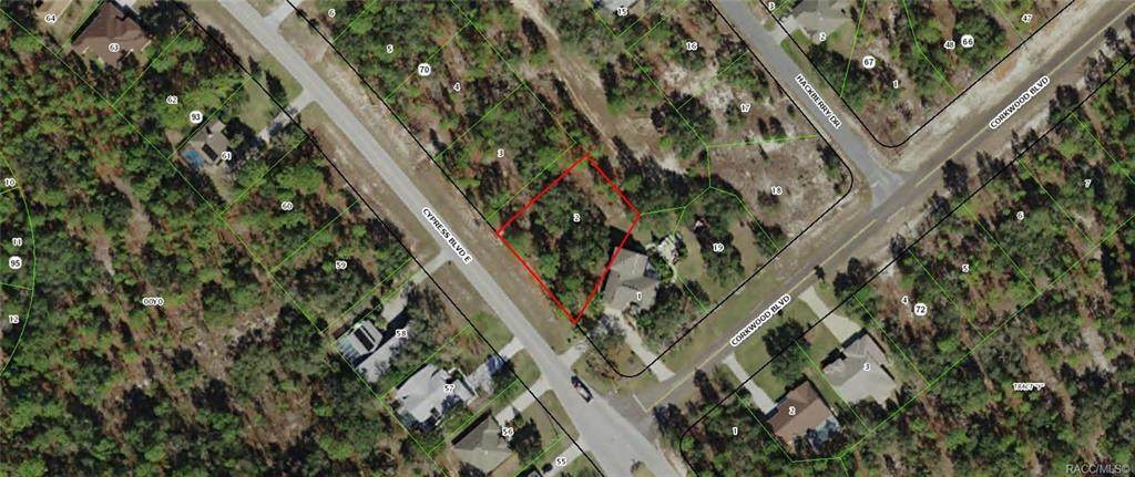 82 Cypress Boulevard - Photo 1