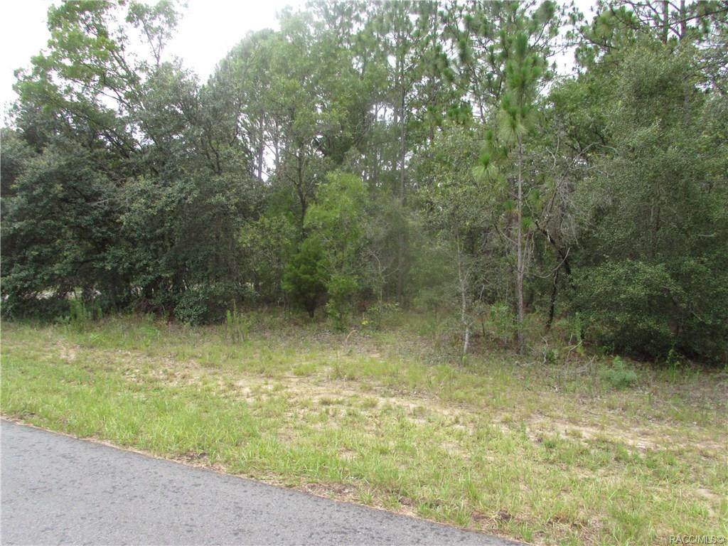 7050 Tallwood Drive - Photo 1