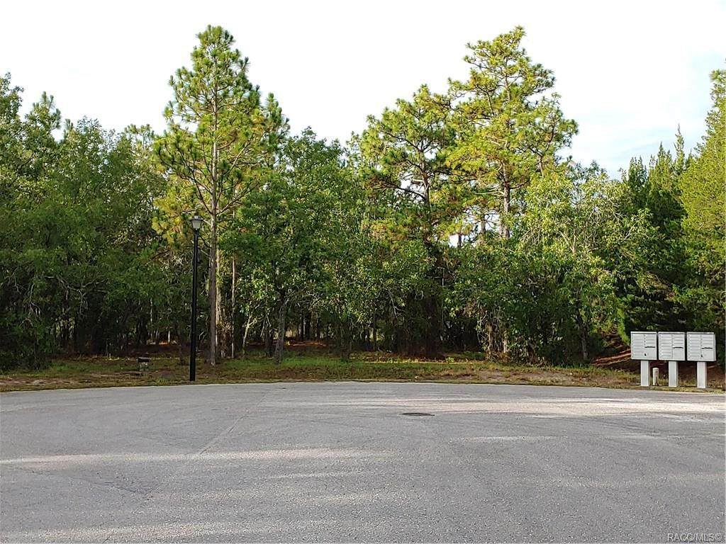 54 Highwood Path - Photo 1