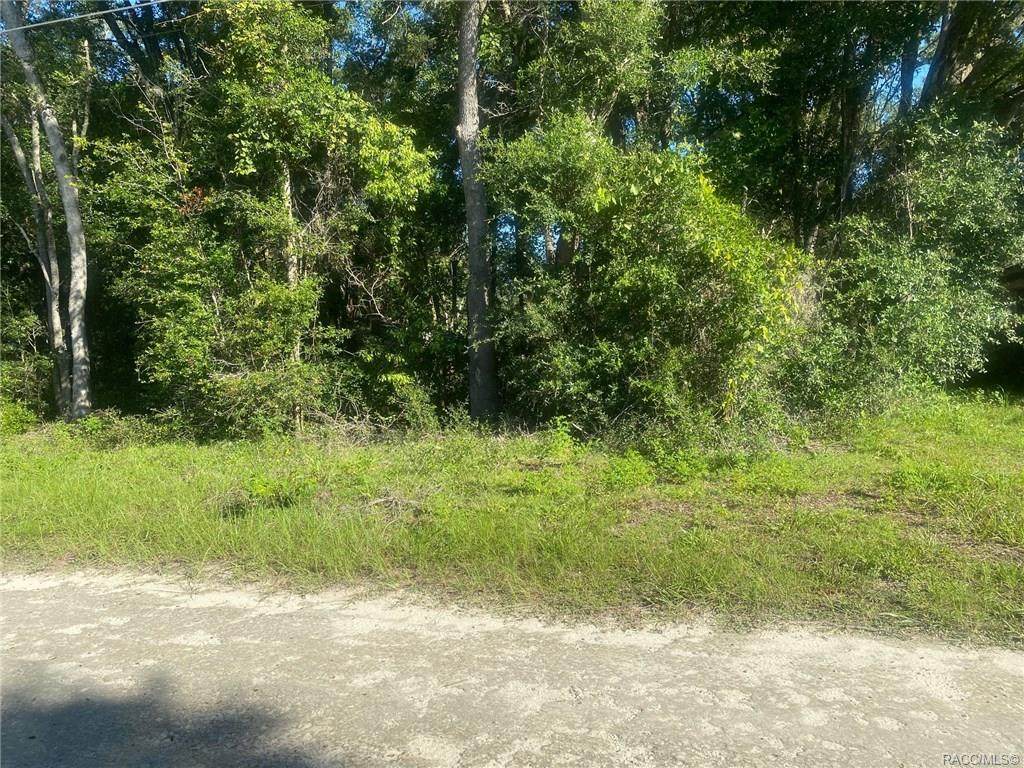 Lot 112 St Benedict Drive - Photo 1