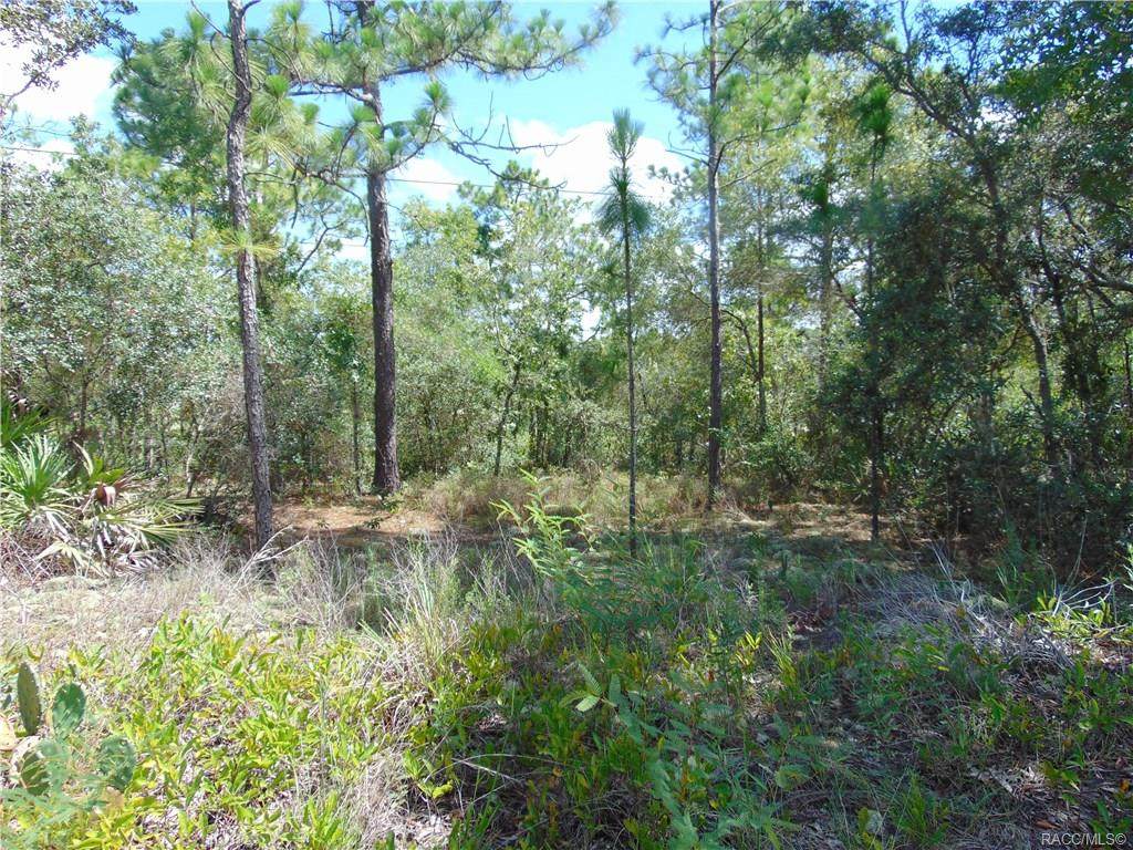6820 Sandborn Loop - Photo 1