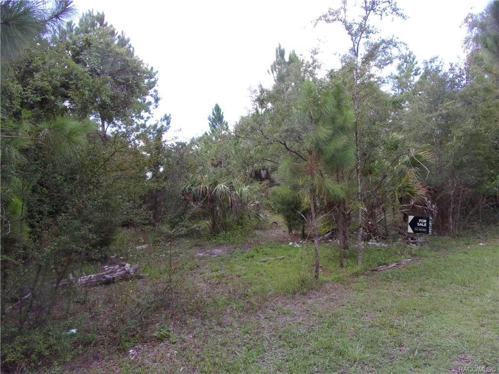 0 Azelee Avenue - Photo 1