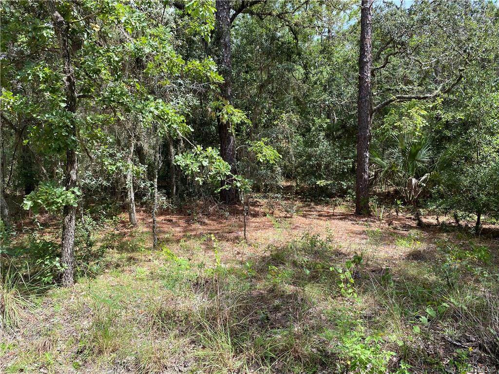 3229 Michael Street - Photo 1
