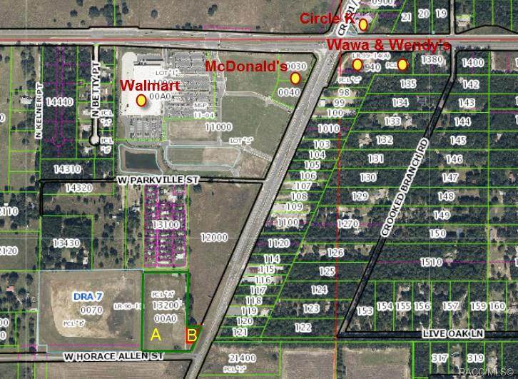 1652 Lecanto Highway - Photo 1
