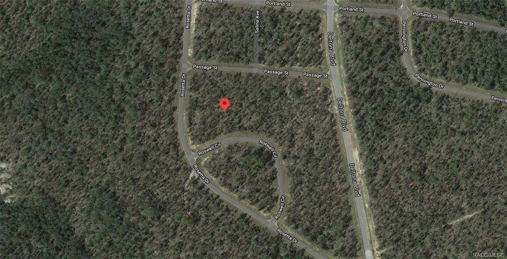 00 Roswell Circle - Photo 1