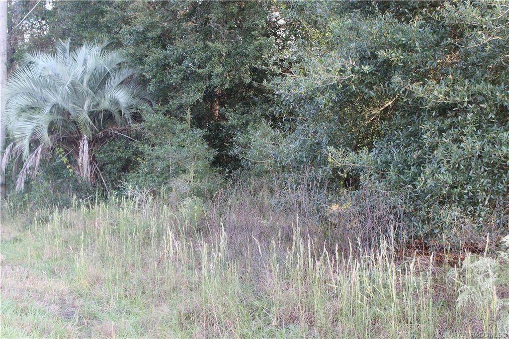 4118 Wilma Street - Photo 1