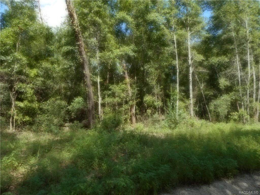 13 & 14 145th Avenue - Photo 1