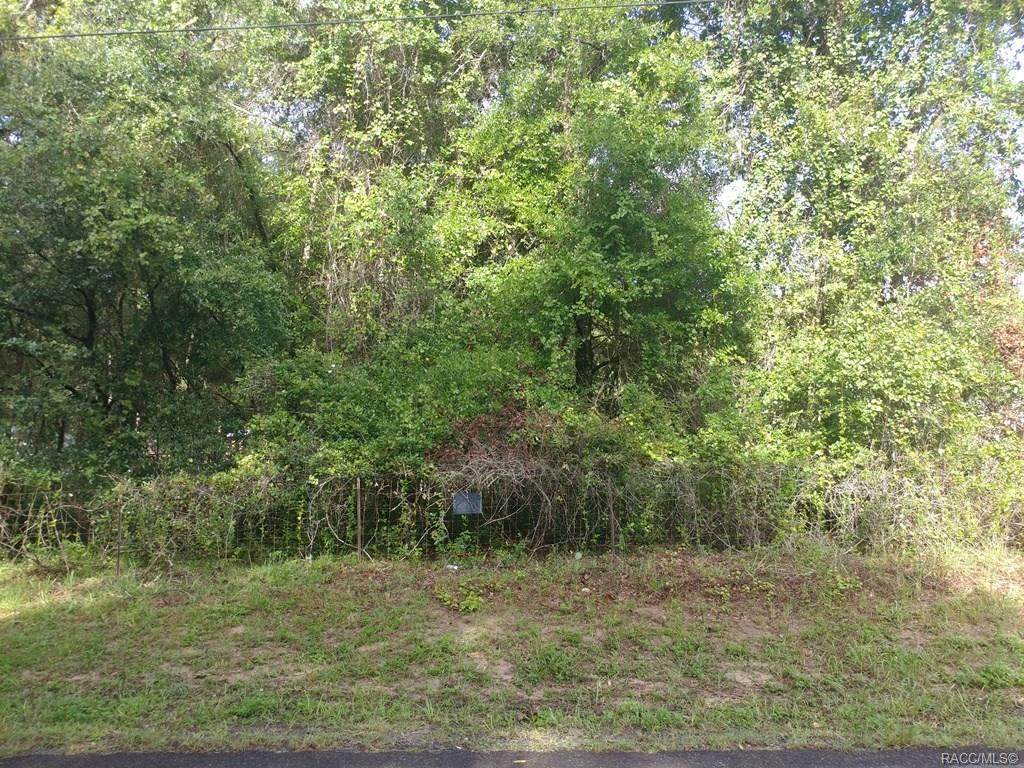 5104 Tanglewood Avenue - Photo 1