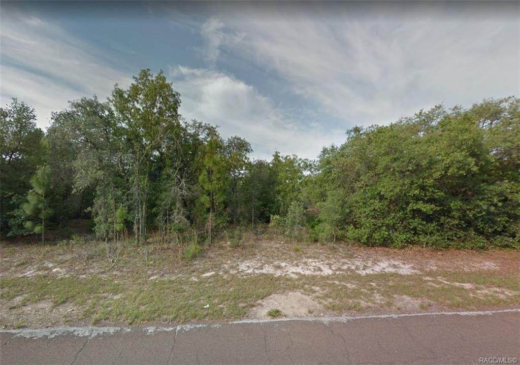 2886 Castania Drive - Photo 1
