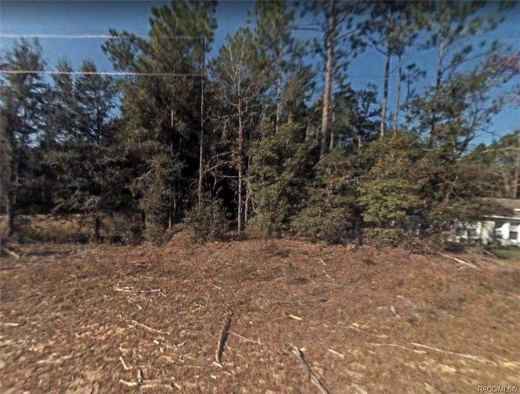 1296 Toledo Drive - Photo 1