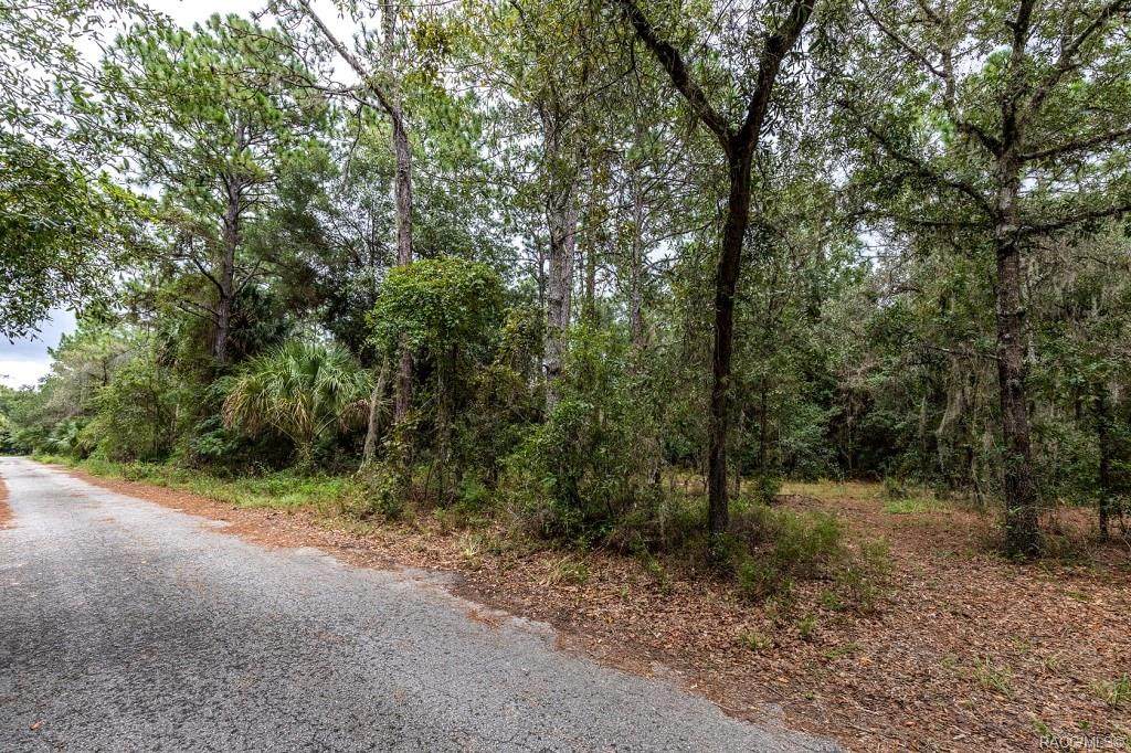 9876 Wedgewood Court - Photo 1