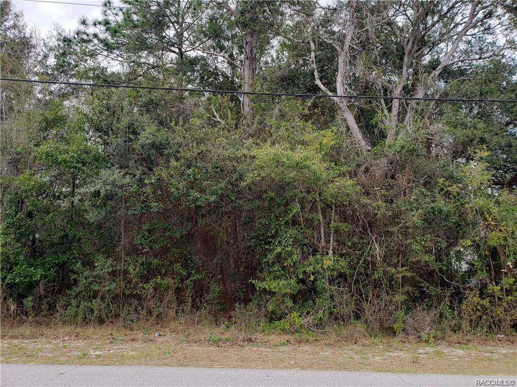 4536 Leisure Drive - Photo 1