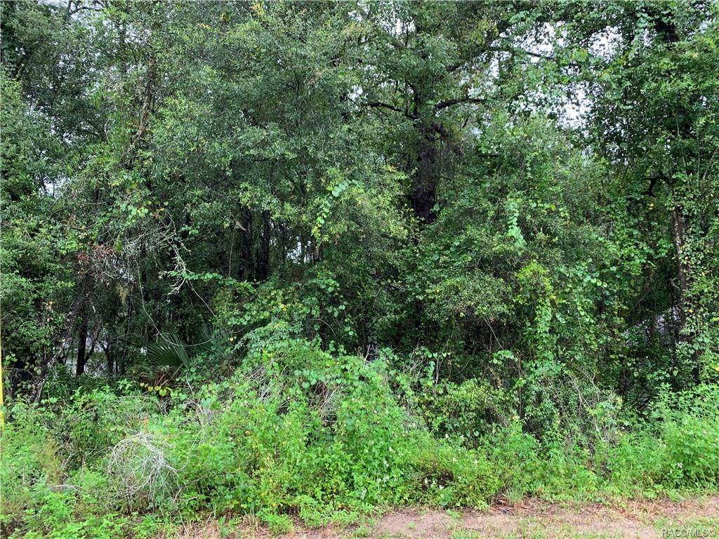 3915 Apopka Avenue - Photo 1