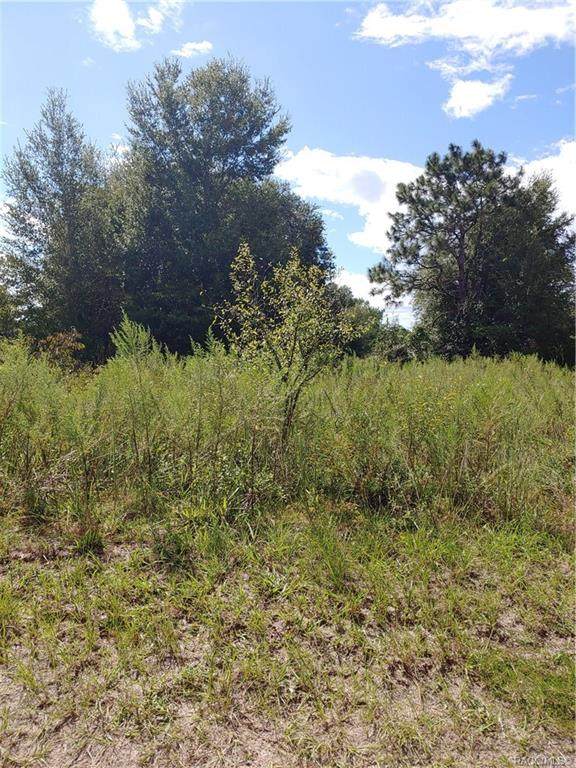 807 Long Avenue - Photo 1