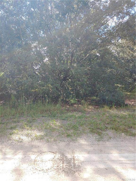 811 Long Avenue - Photo 1