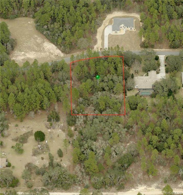 766 Whitecloud Lane - Photo 1