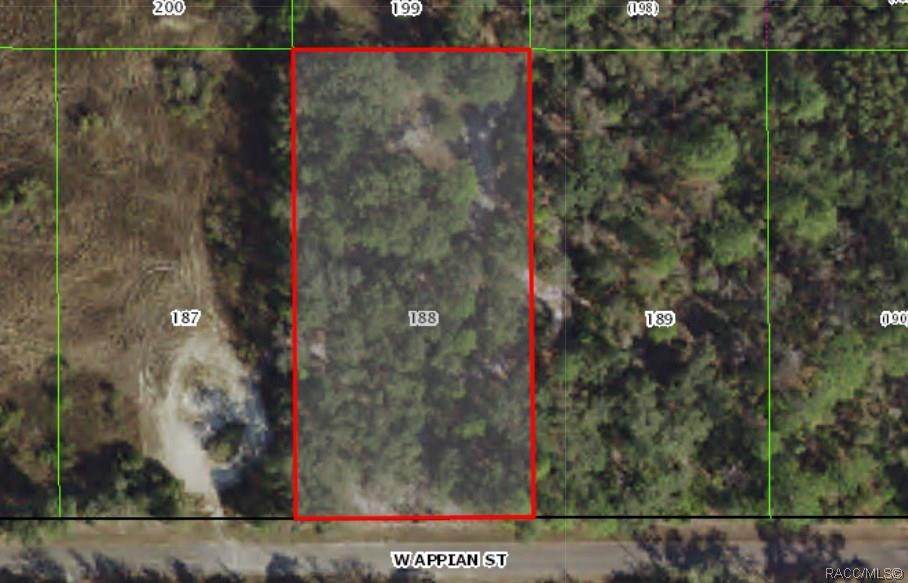 7003 Appian Street - Photo 1