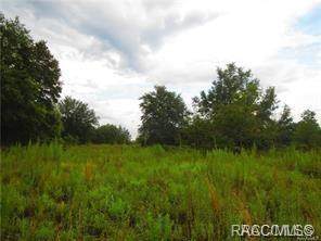 7887 Manville Road - Photo 1