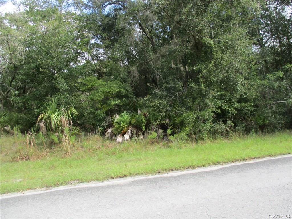 12487 Flaxen Drive - Photo 1