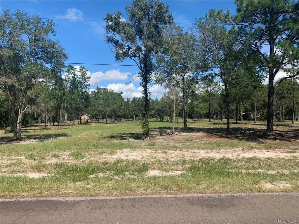 8799 Pine Bluff Street - Photo 1