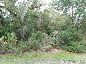 8072 Downs Drive - Photo 1