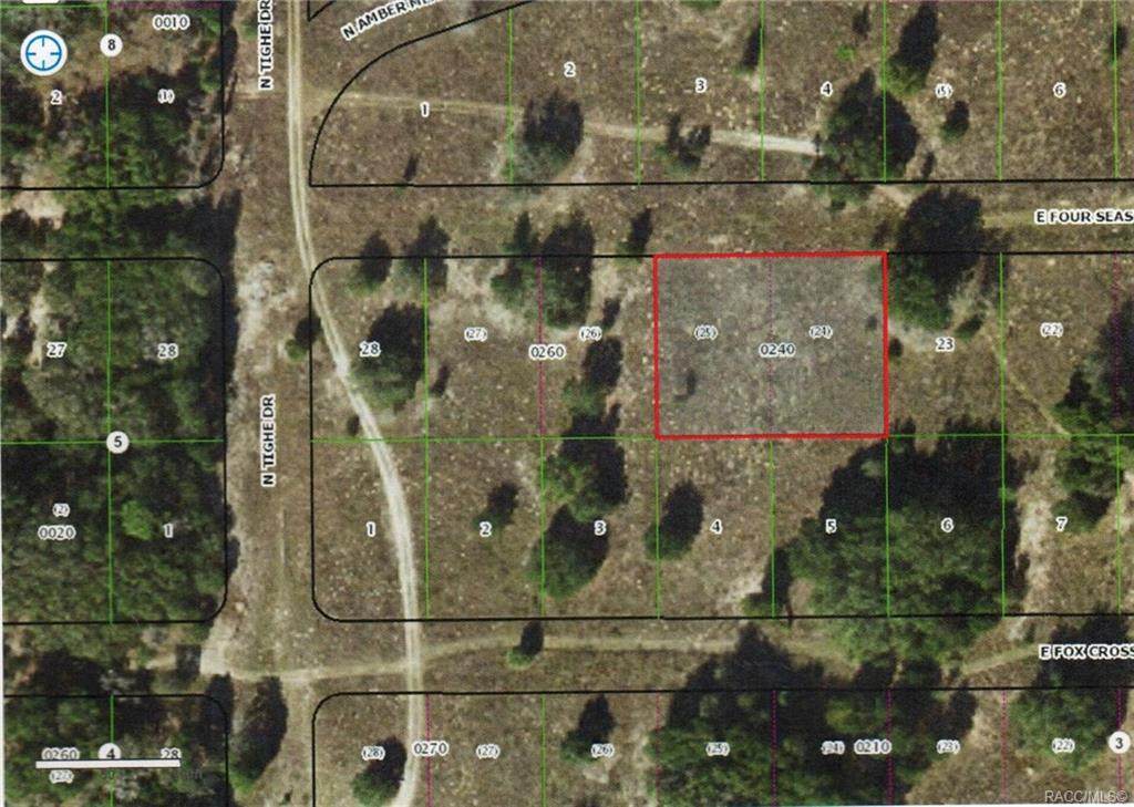 2250 Four Seasons Lane - Photo 1